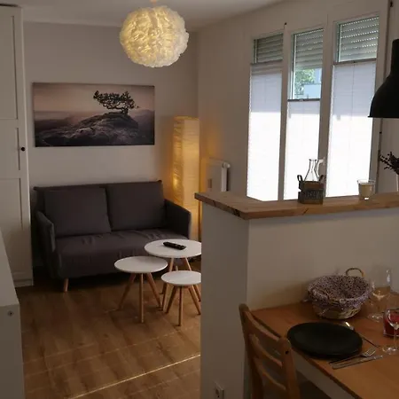 Apartment Gottleubapark *